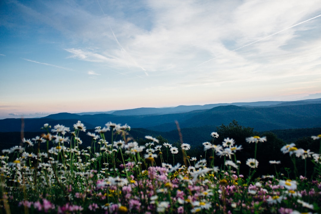 Anawalt WV Passport Guide: Forms, Facilities & Local Tips