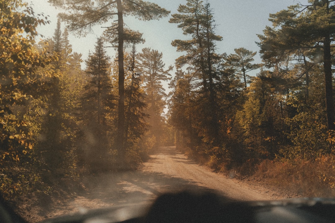 Applying for a Passport in Palo, Michigan: Guide to Local Facilities