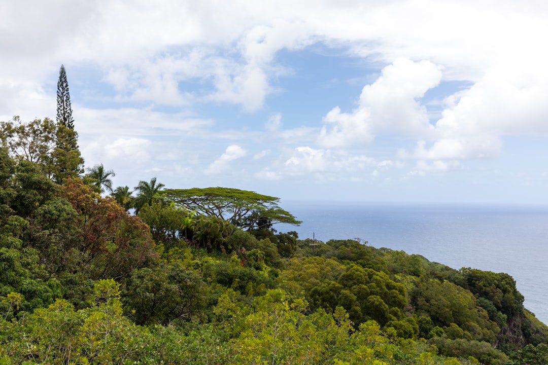 Applying for Passport in Royal Kunia, HI: Facilities & Steps