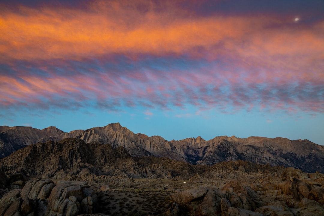 Ariton AL Passport Guide: First-Time, Renewal, Local Facilities