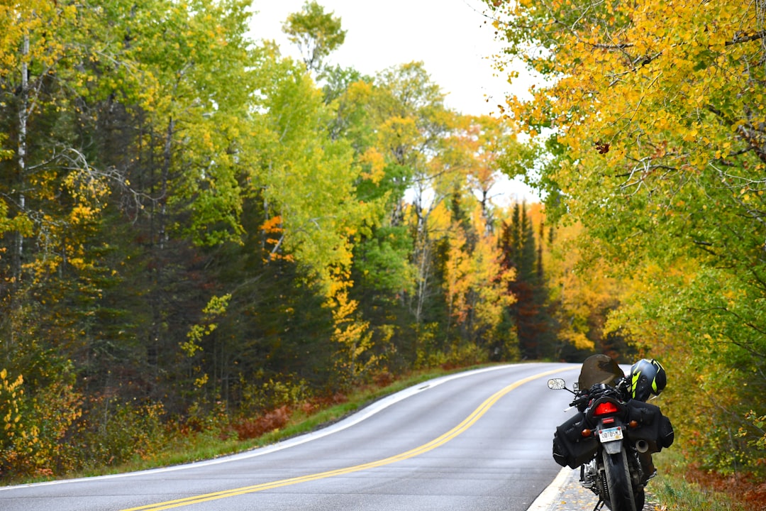 Ashby MN Passport Guide: Steps, Facilities, Renewal Tips
