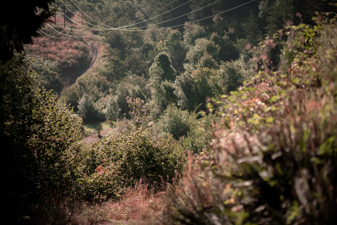 Aurora, OR Passport Guide: First-Time, Renewal, Local Facilities