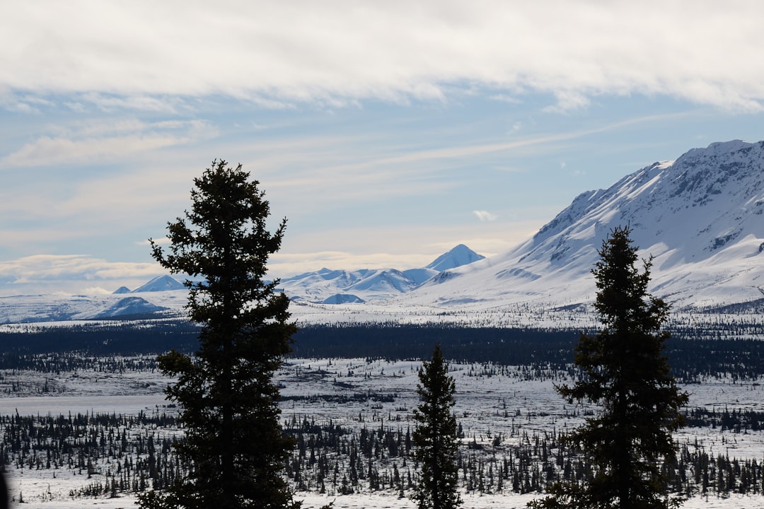 Badger, AK Passport Guide: Facilities, Forms & Local Tips