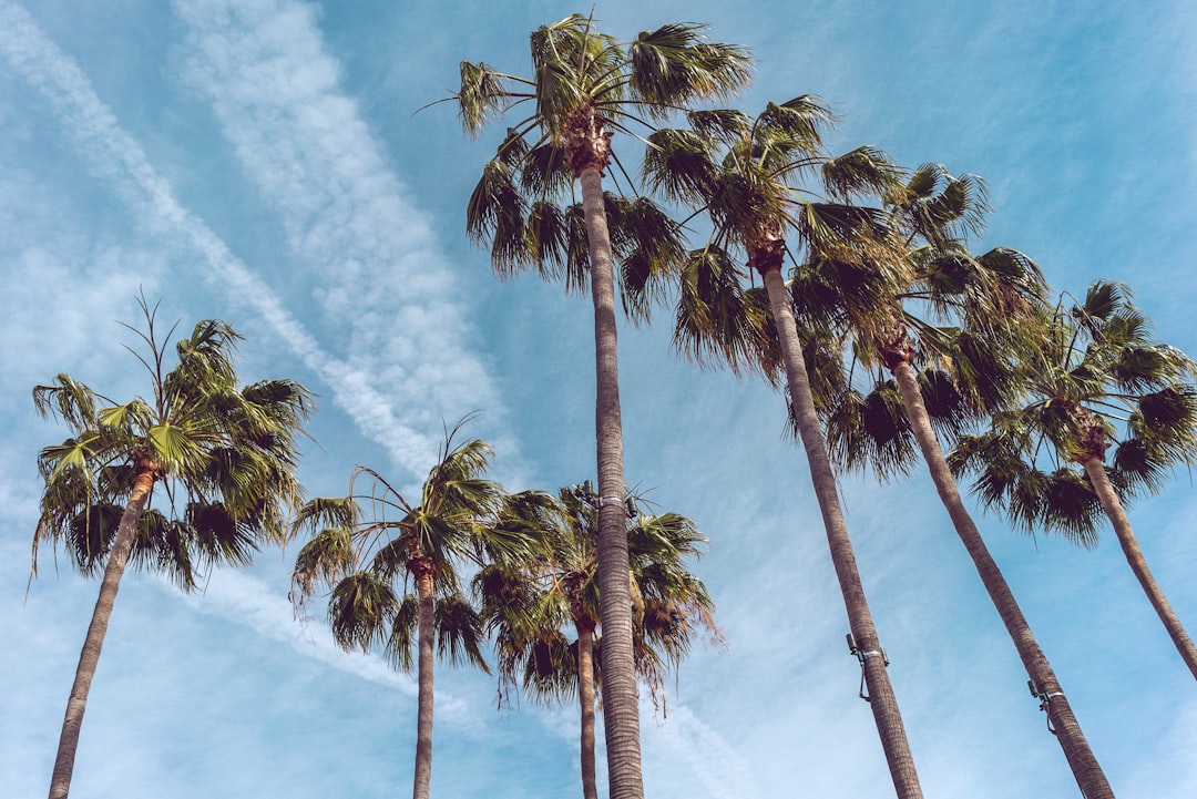 Bay Point CA Passport Guide: Local Facilities Forms Checklists