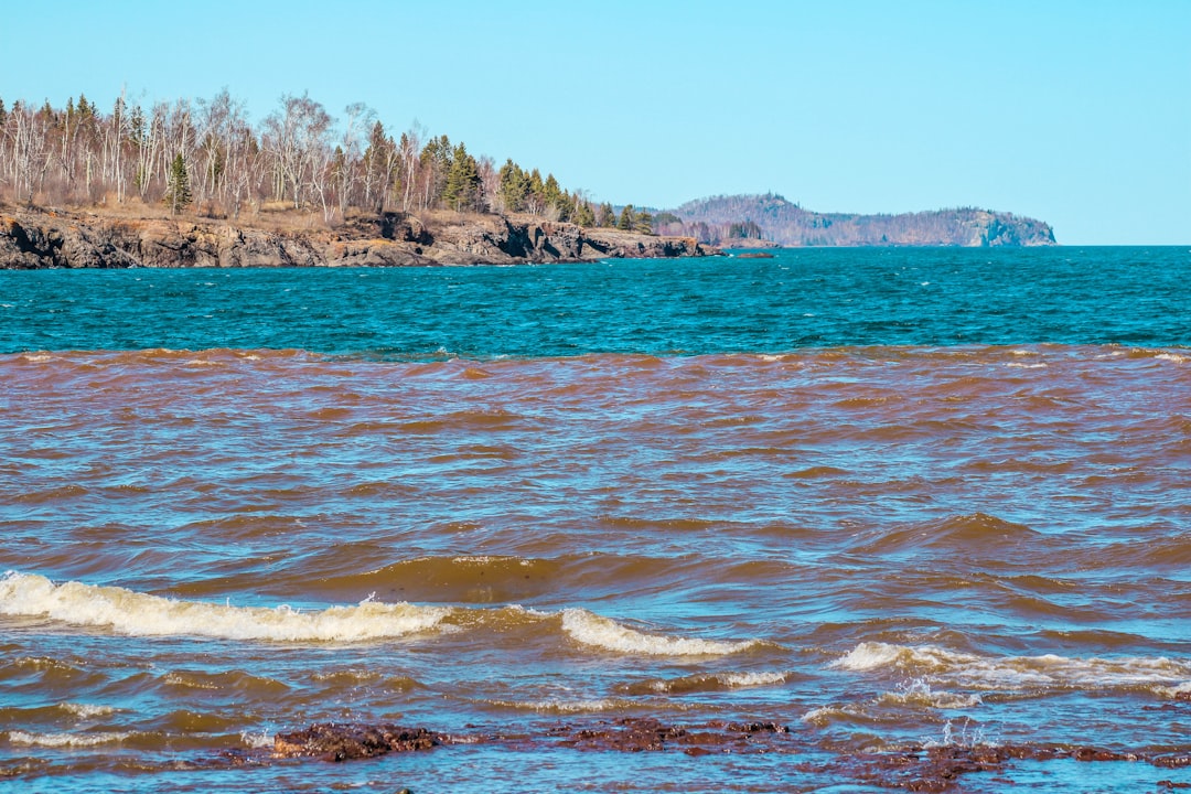 Bingham Lake MN Passport Guide: Apply, Renew, Replace, Facilities