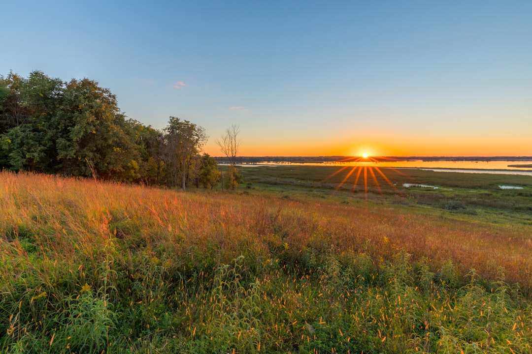 Birchwood, WI Passport Guide: Steps, Facilities & Tips 2024