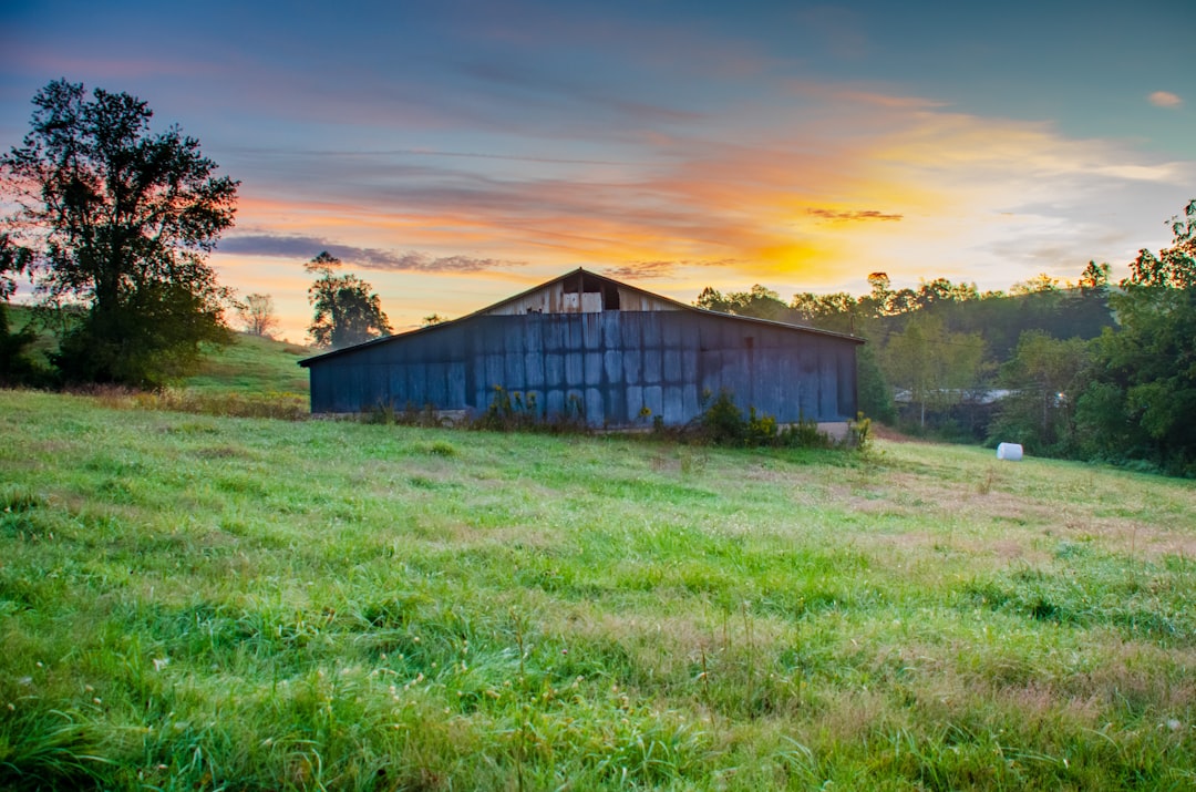 Brandywine, WV Passport Guide: First-Time, Renewal, Replacement