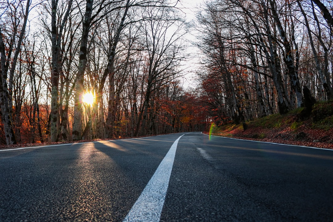 Canon GA Passport Guide: First-Time Apps, Renewals, Local Facilities