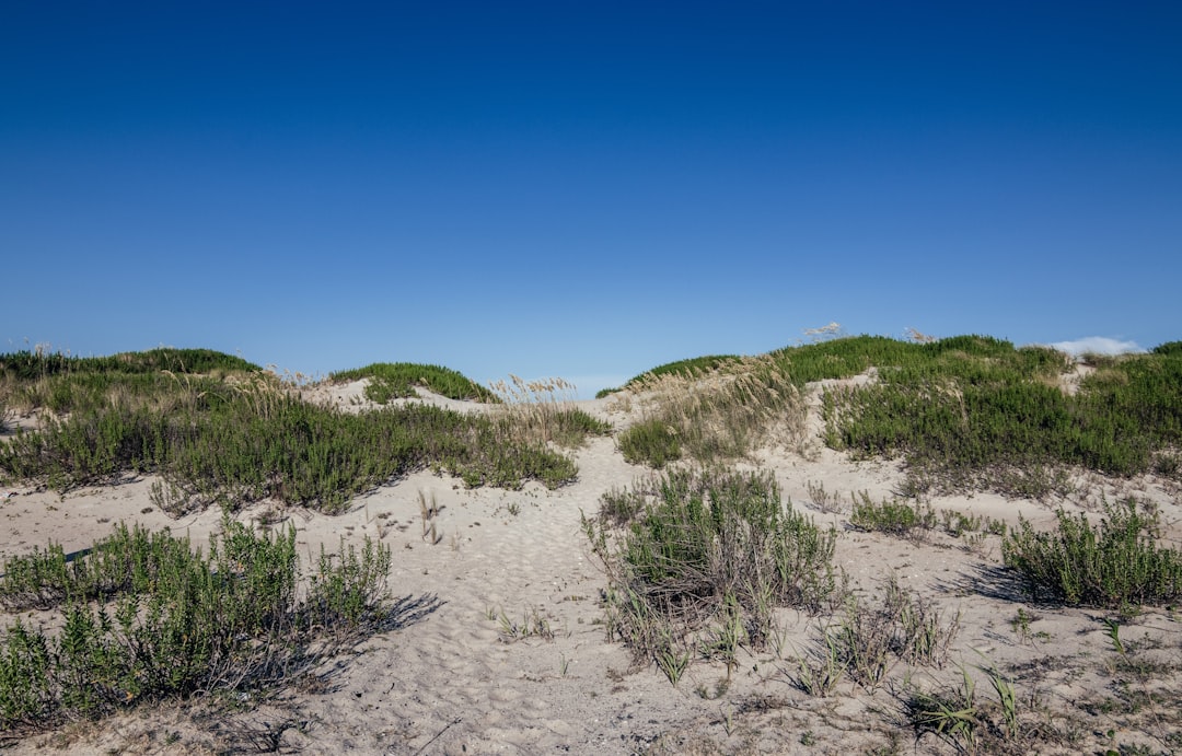 Castle Hayne, NC Passport Guide: Applications, Renewals & Facilities