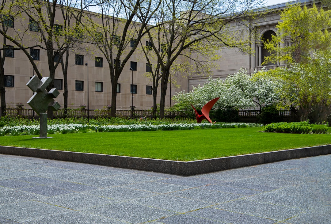 Catlin IL Passport Guide: Danville Facilities & Application Steps