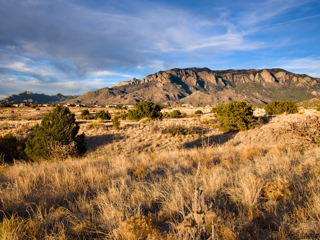 Cedro NM Passport Services: Albuquerque Facilities & Steps