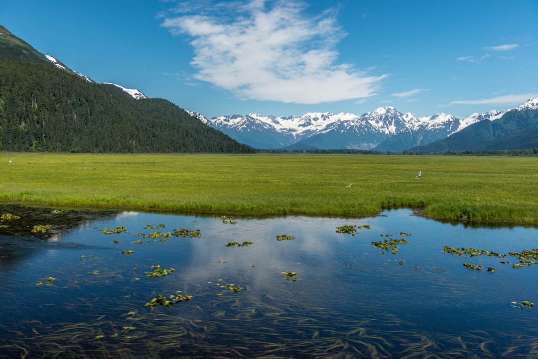 Chenega AK Passport Guide: Apply, Renew, Facilities & Tips