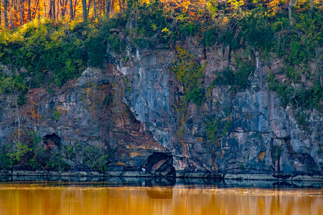 Complete Burns, TN Passport Guide: Facilities, Forms, Steps