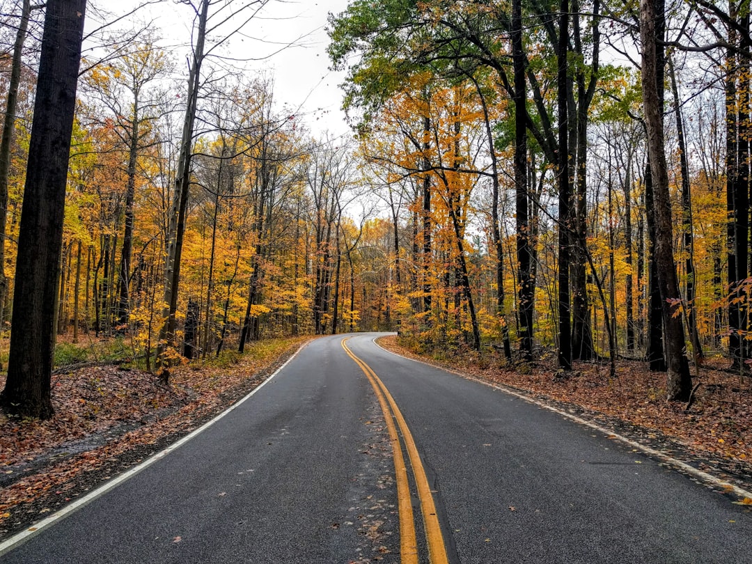 Complete Guide to Getting a Passport in Bloomingdale, Ohio