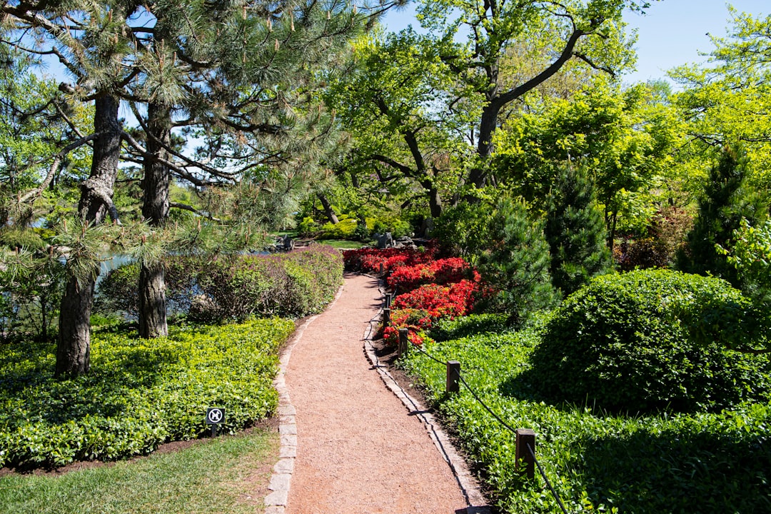 Complete Guide to Getting a Passport in Calumet City, IL