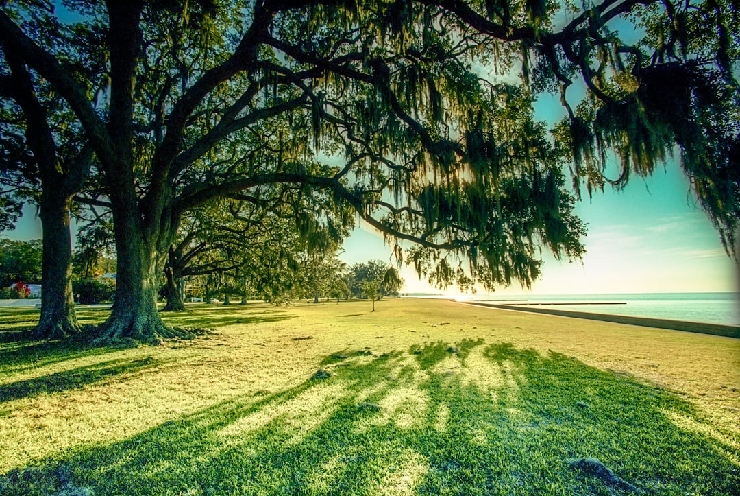 Complete Guide to Getting a Passport in Castor, LA
