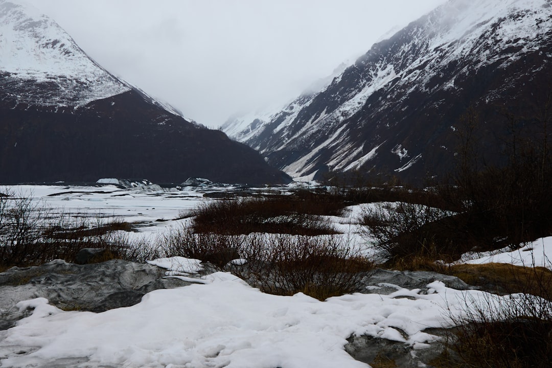 Complete Guide to Getting a Passport in Central, Alaska