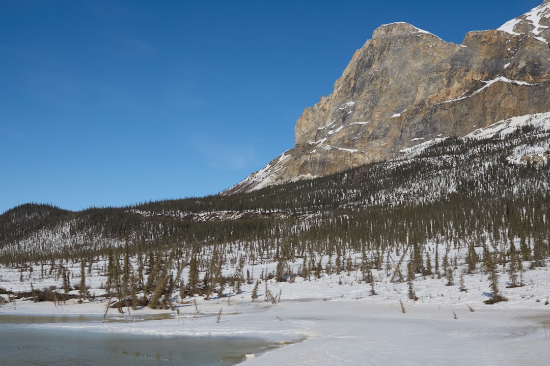 Complete Guide to Getting a Passport in Halibut Cove, AK