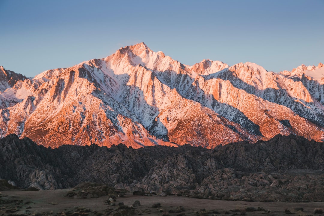 Complete Guide to Getting a Passport in Homewood, AL 2024