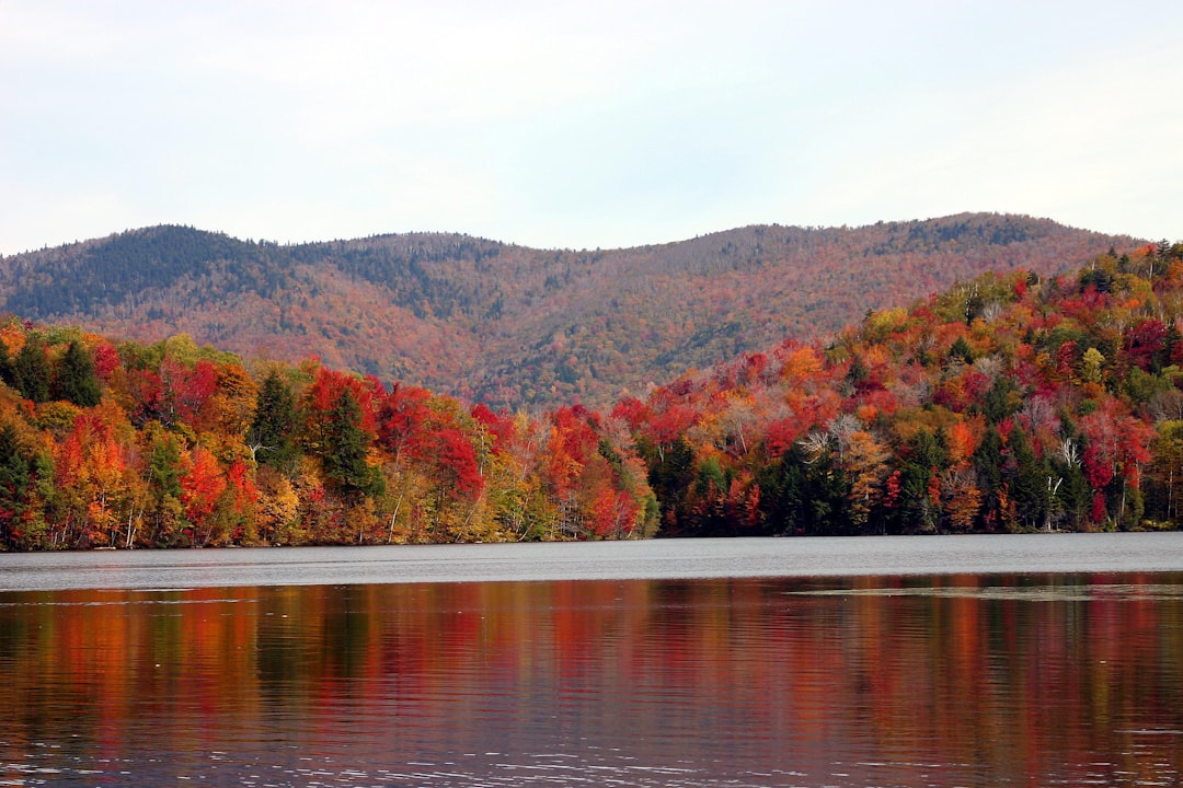 Complete Guide to Getting a Passport in Huntington, VT