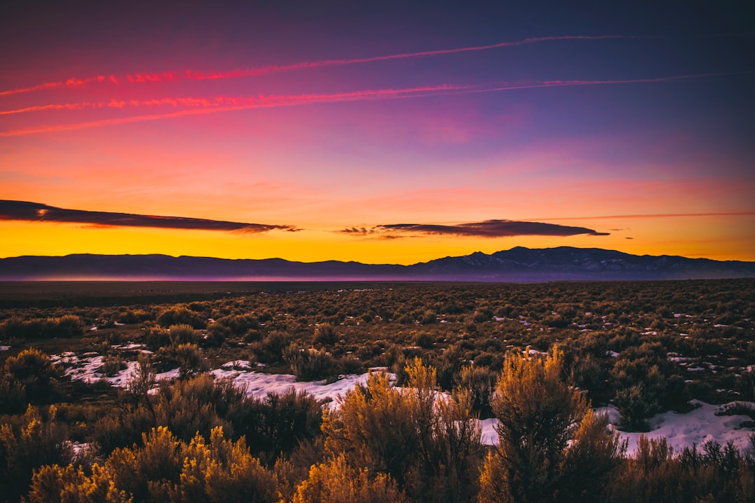 Complete Guide to Getting a Passport in Los Cerrillos, NM