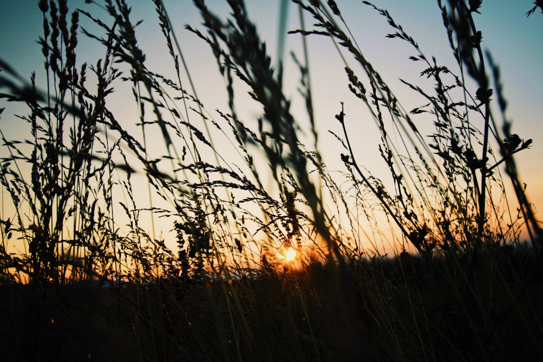 Complete Guide to Getting a Passport in Mattapoisett Center, MA