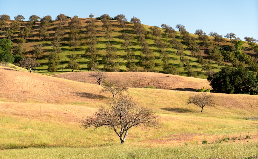 Complete Guide to Getting a Passport in Old River, CA