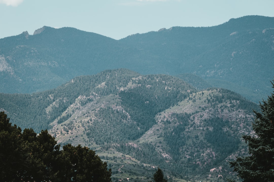 Complete Guide to Getting a Passport in Palisade, CO