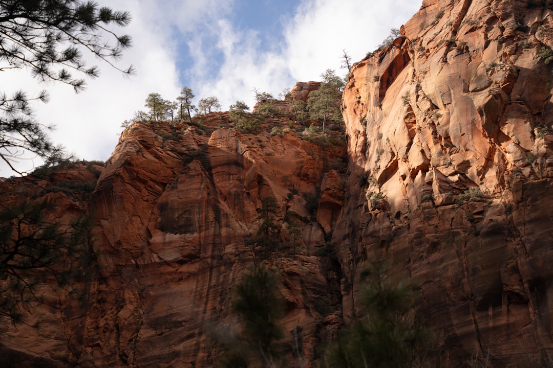 Complete Guide to Getting a Passport in Park City, UT