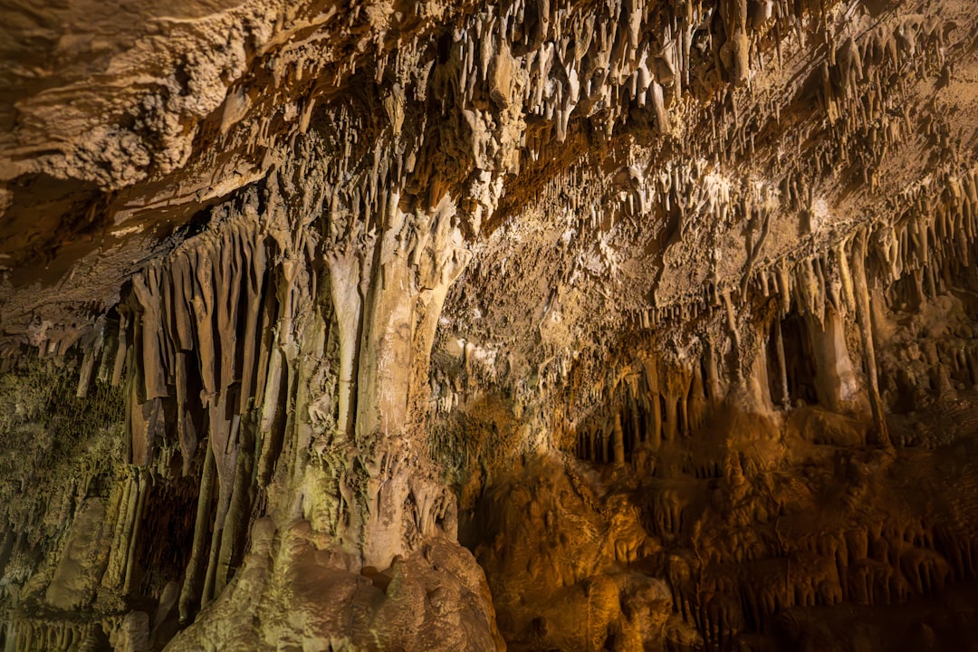 Complete Guide to Getting a Passport in Ponderosa Pines, MT