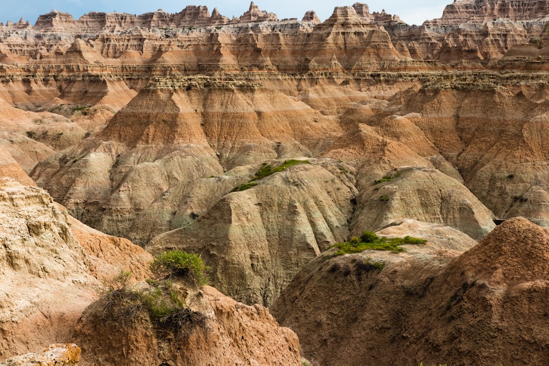 Complete Guide to Getting a Passport in Spring Creek Colony, SD