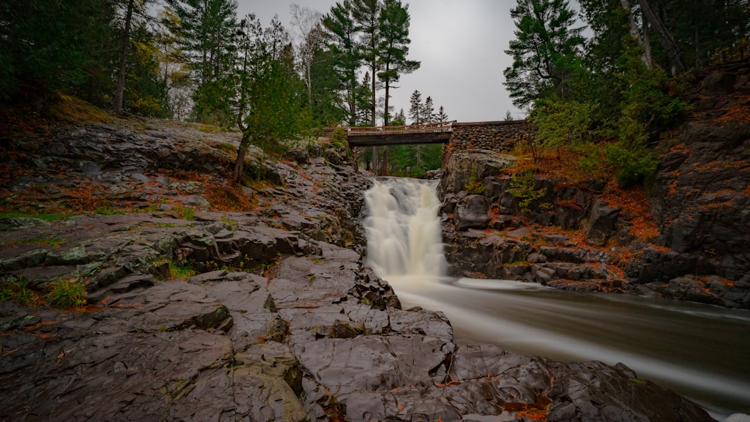 Complete Guide to Getting a Passport in St. Rosa, MN
