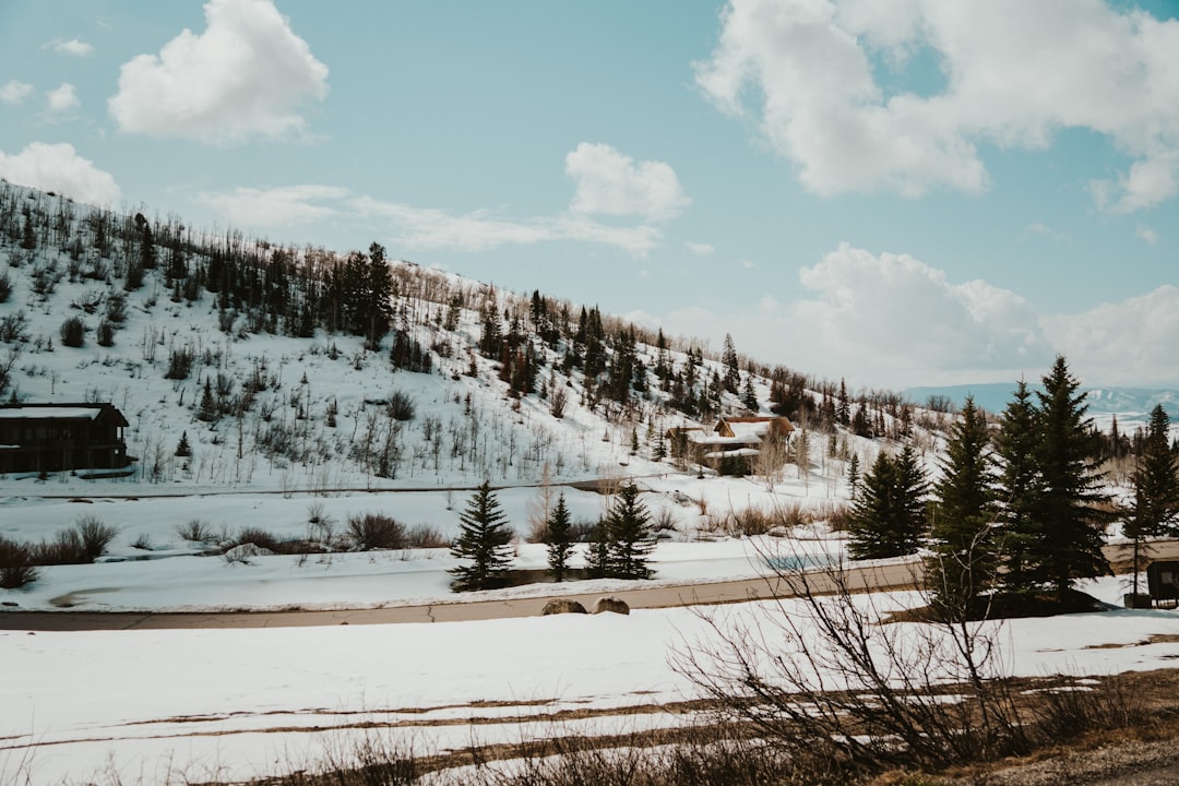 Complete Guide to Getting a Passport in Woodmoor, CO