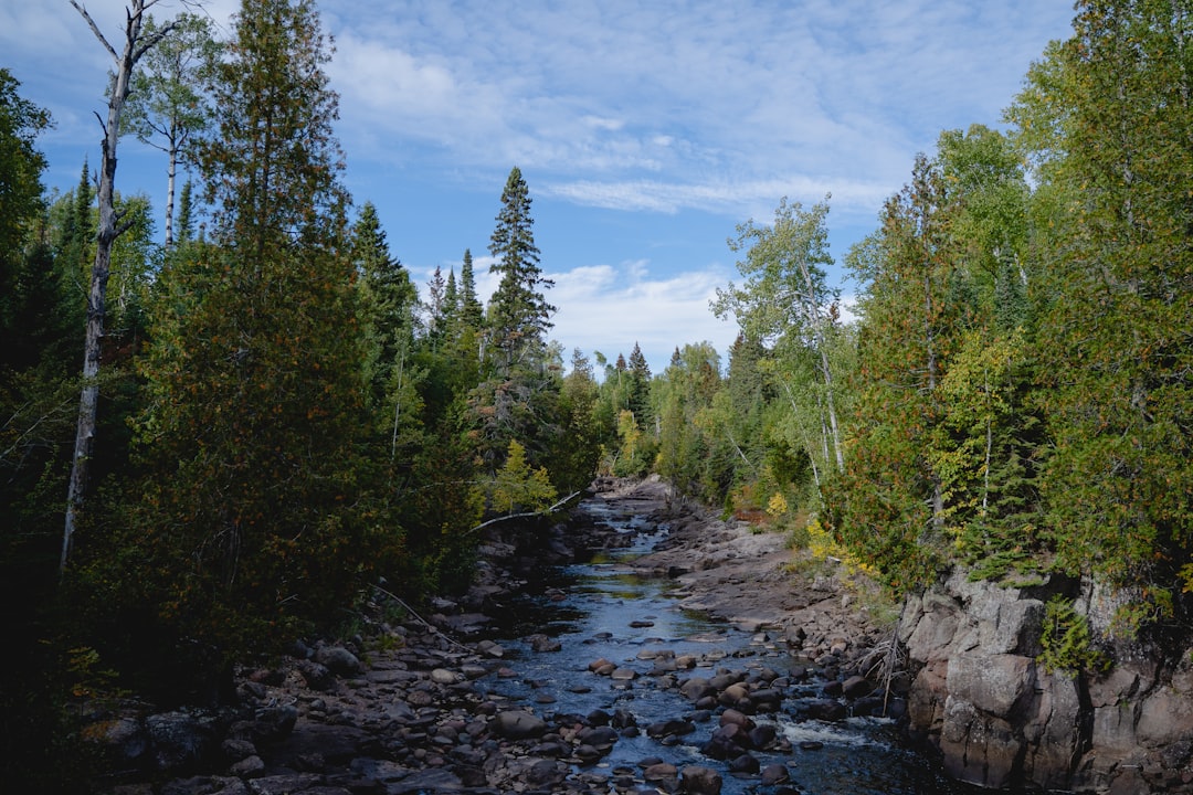 Complete Guide to Getting a U.S. Passport in Dresbach, Minnesota