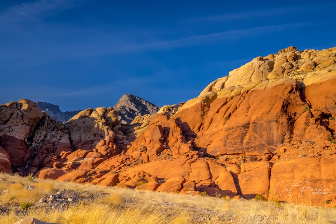 Complete Guide to Obtaining a Passport in Custer, South Dakota