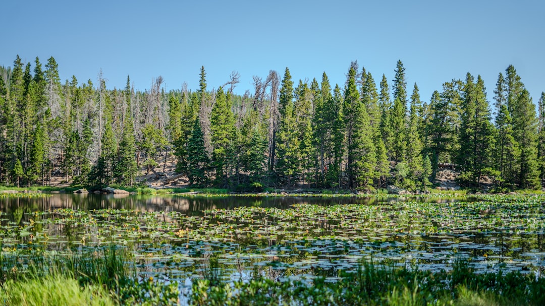 Complete Guide to Passport Applications in Aurora, Colorado