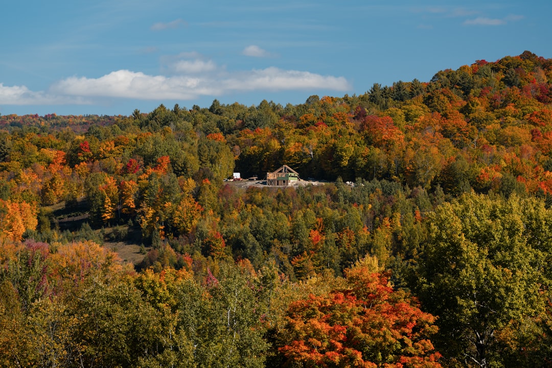 Complete Guide to Passport Applications in Concord, NH