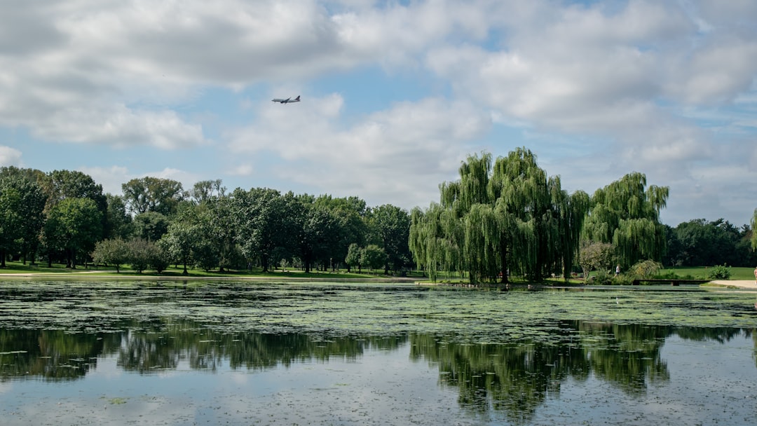 Complete Guide to Passport Applications in Hamilton, WA