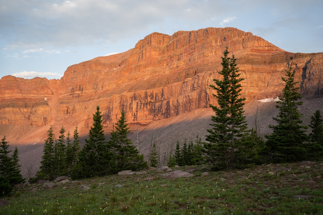 Complete Guide to Passport Services in Summit Park, UT