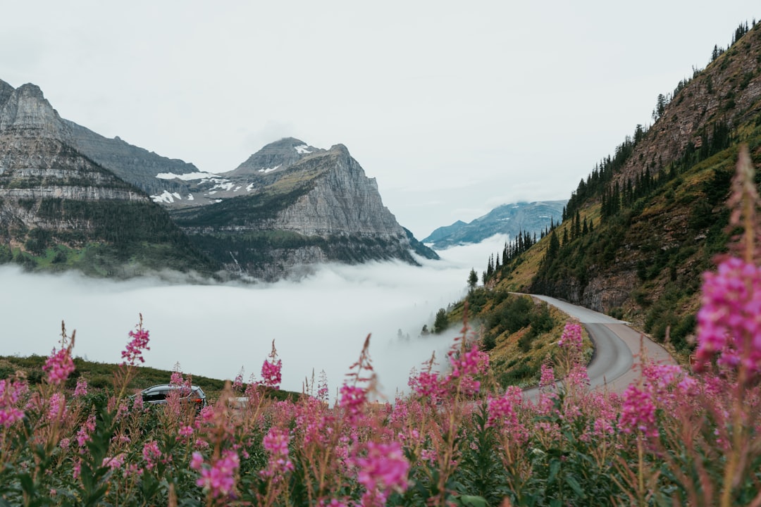 Complete Step-by-Step Guide to Getting a Passport in Elliston, MT