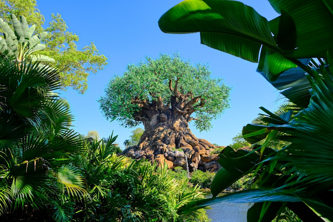 Country Walk FL Passport Guide: Applications, Renewals, Facilities