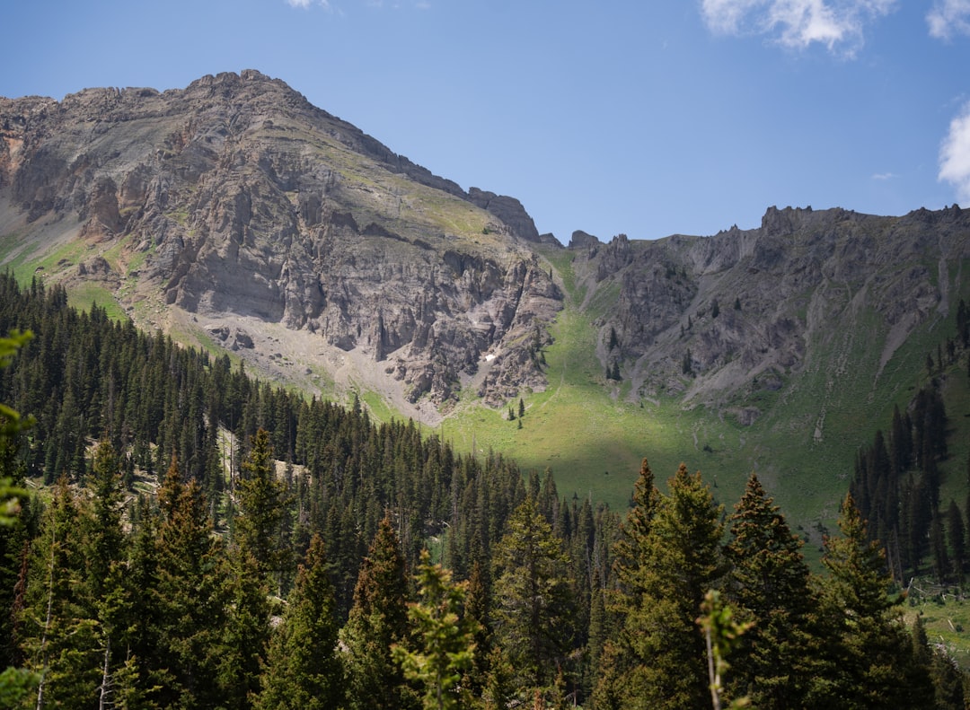 Cripple Creek CO Passport Guide: Facilities, Forms & Rural Tips