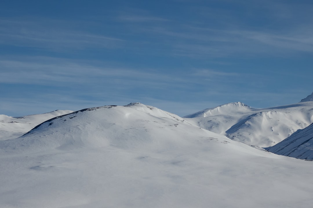 Denali Park, AK: Passport Application Steps & Facilities