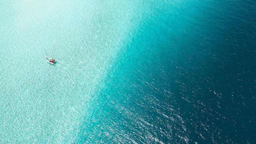 Do You Need a Passport to Book an International Flight?