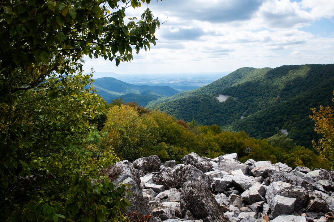 Drakes Branch VA Passport Guide: Apply, Renew, Facilities