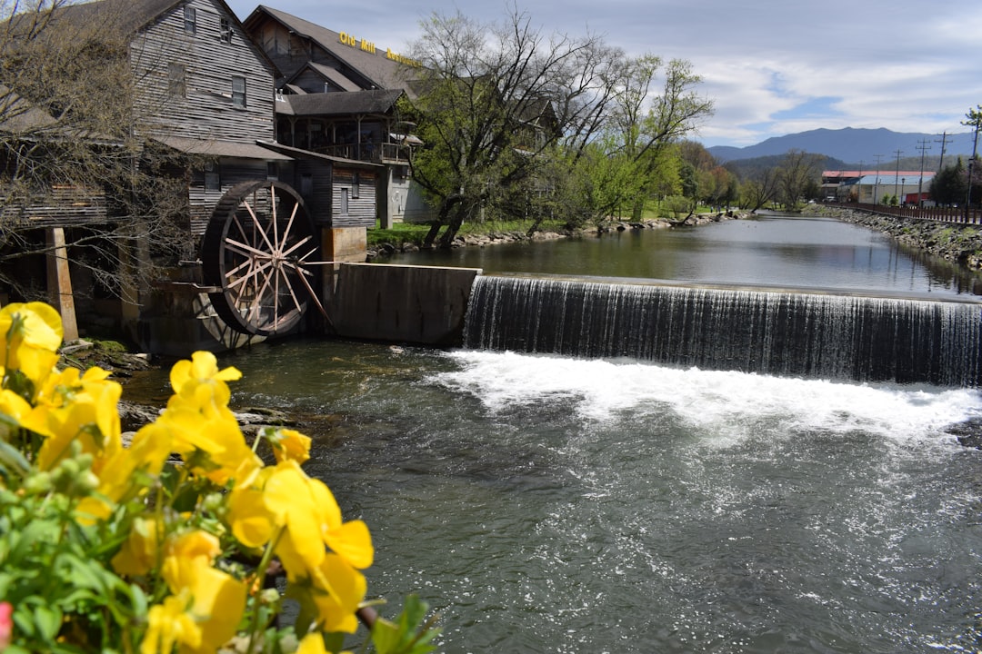 Druid Hills KY Passport Guide: Steps, Facilities & Tips