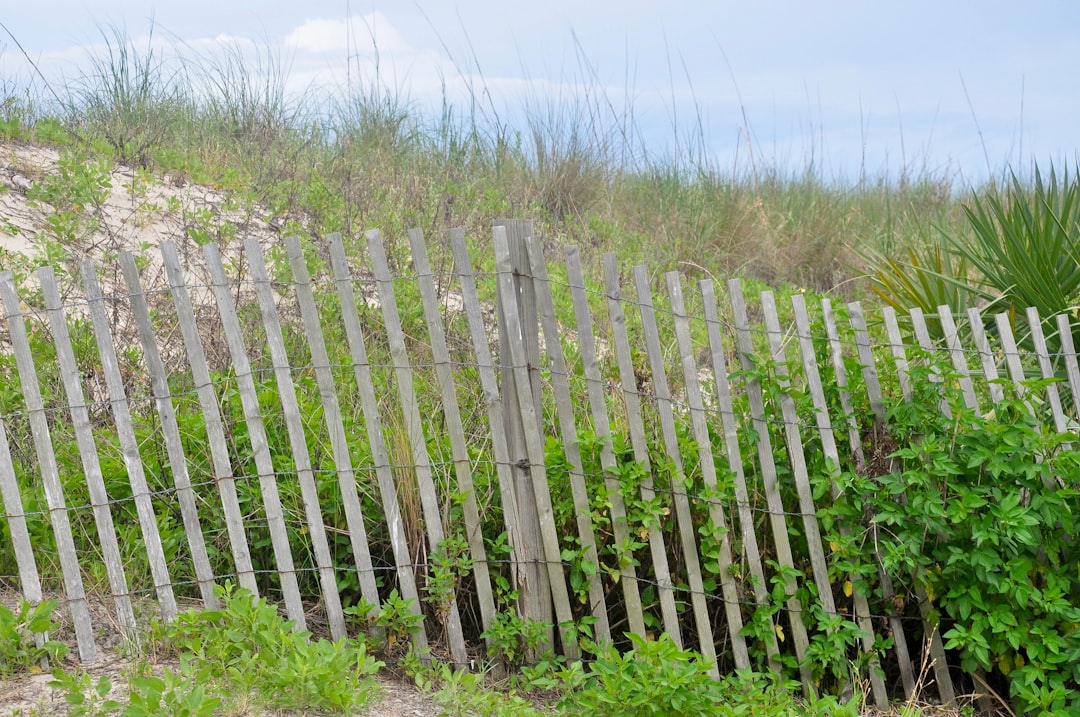 Duluth, GA Passport Guide: Facilities, Forms, Fees & Checklists