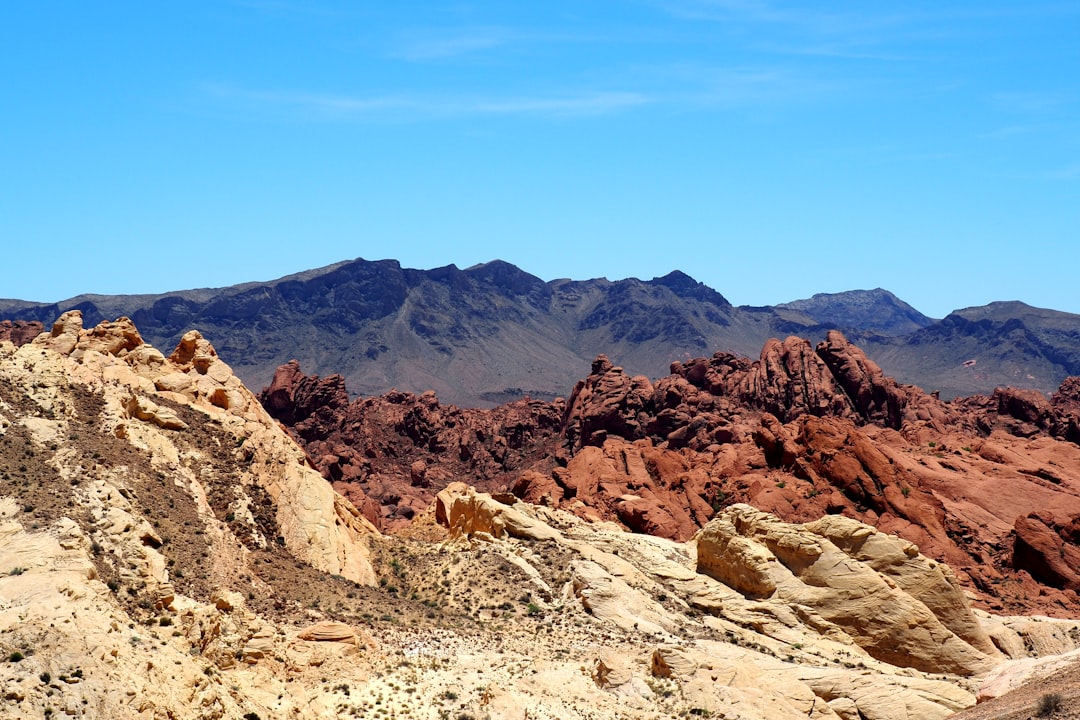 Eagle Lake TX Passport Guide: Facilities, Forms, Checklists