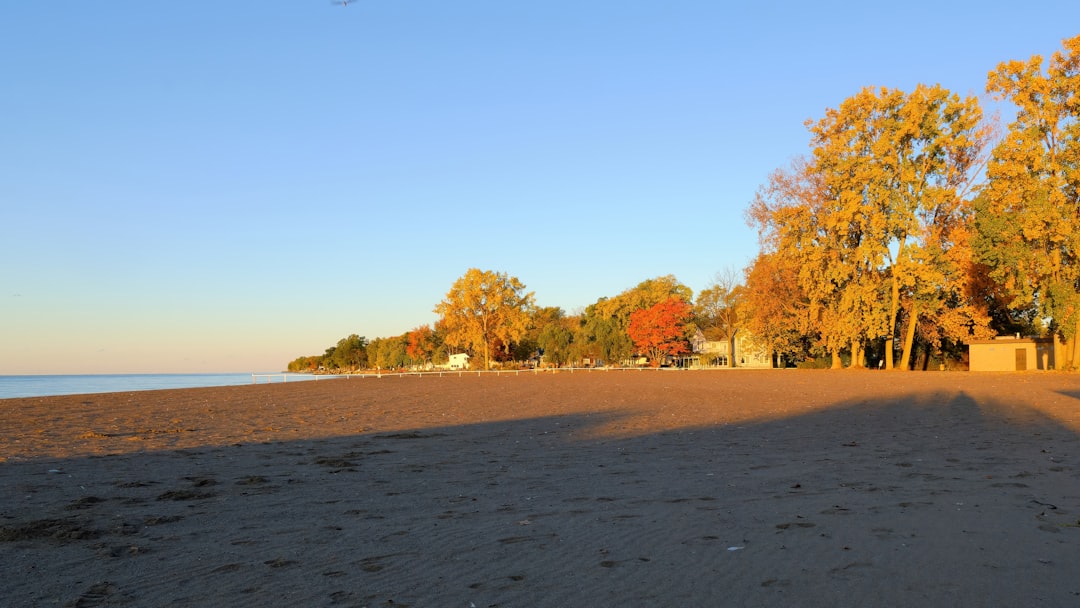 Elkton MI Passport Guide: Huron County Facilities & Steps