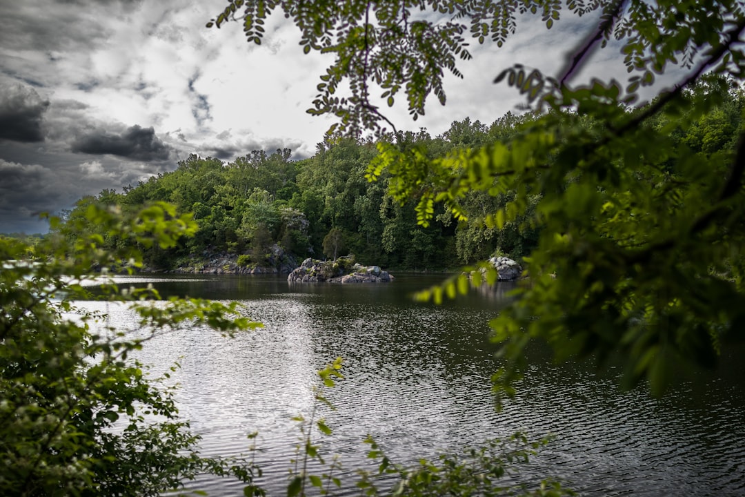 Emporia, VA Passport Guide: Steps, Facilities, Fees & Tips